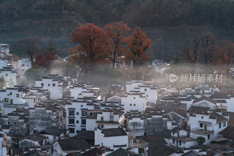 江西上饶婺源石城红枫网红景点日出晨雾