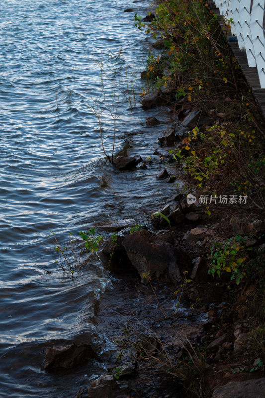 岸边水域与岩石植物景观