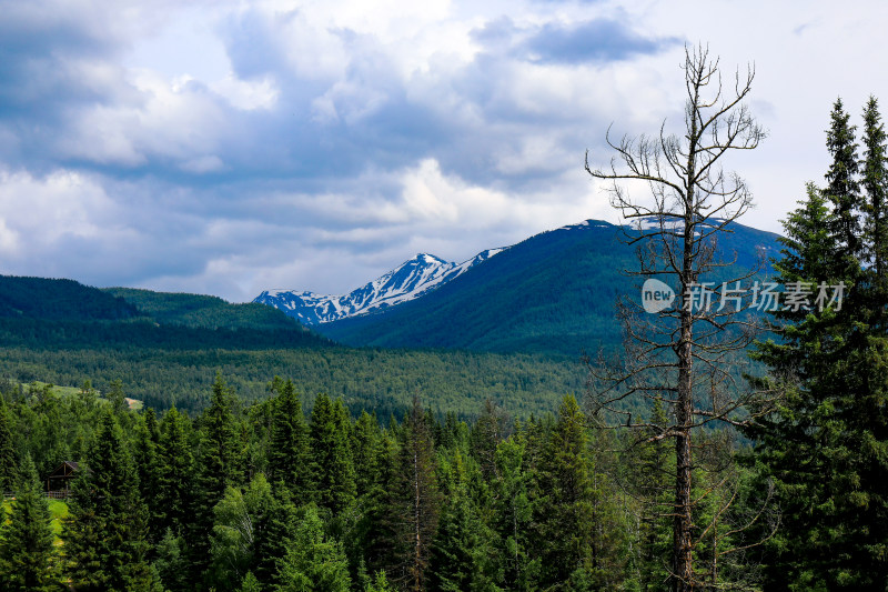 春季喀纳斯景区