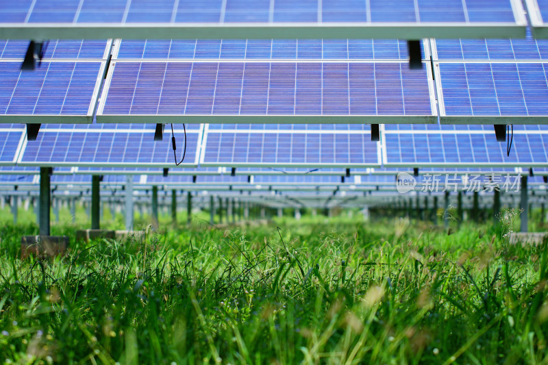 草地之上的太阳能电池板