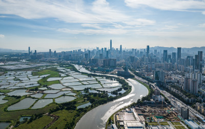 深圳湾红树林公园深圳河入海口