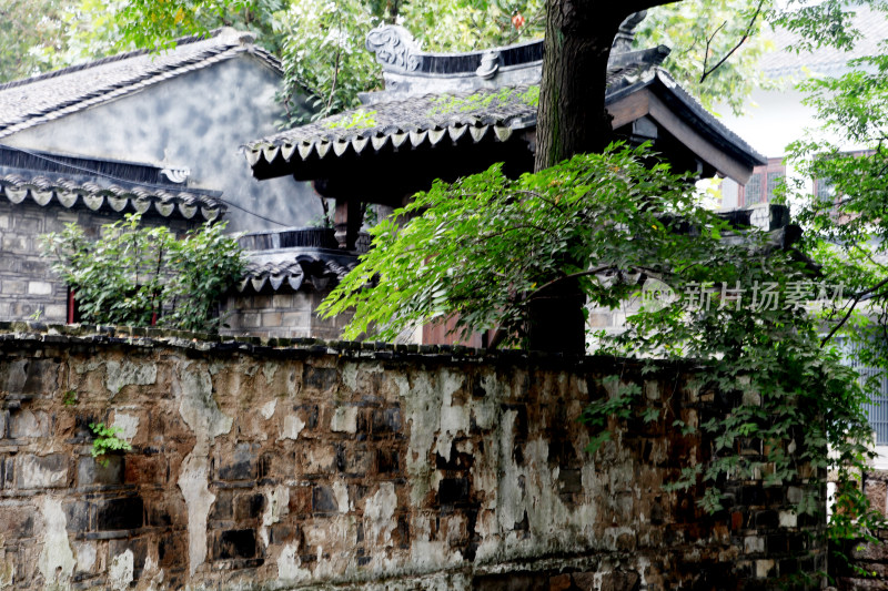 中式古建筑庭院全景风貌苏州平江路