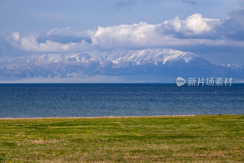 新疆赛里木湖蓝天白云雪山湖泊草原绝美风光