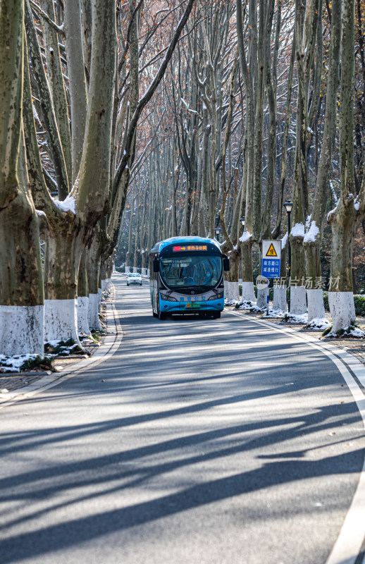 雪后的南京钟山风景区灵谷景区