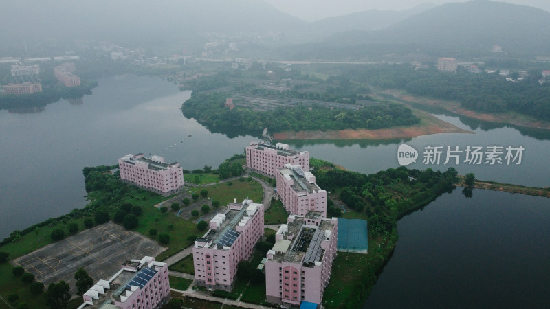 仰恩大学