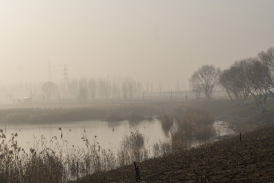 广利河湿地公园冬景