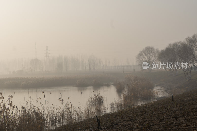 广利河湿地公园冬景