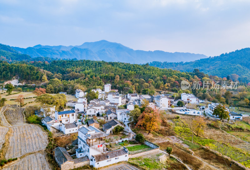 深秋安徽黄山市塔川秋色风光