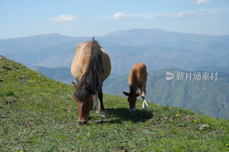 五台山南台风光