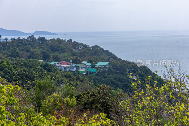 大海自然景色