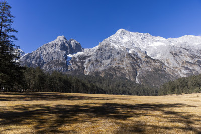 云南丽江玉龙雪山云杉坪