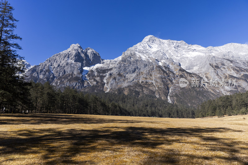 云南丽江玉龙雪山云杉坪