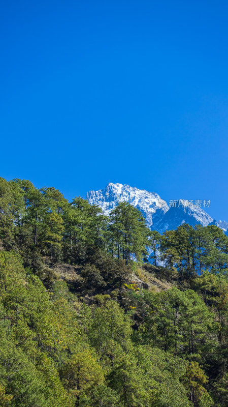 虎跳峡风景