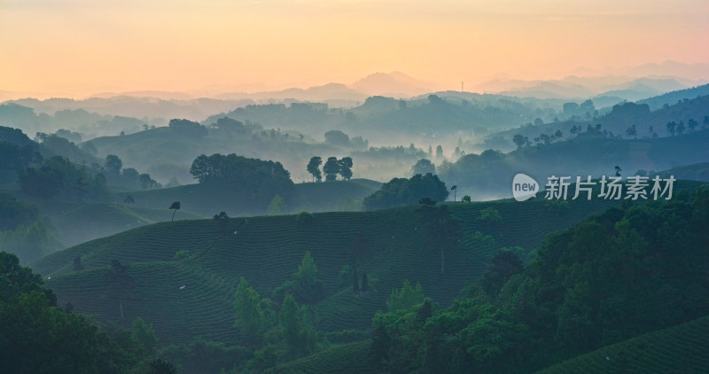 茶园茶山美丽乡村