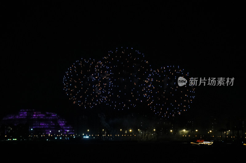 夜空绽放的绚烂烟花