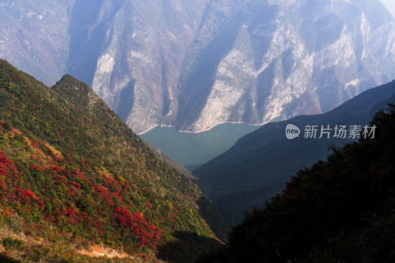 满山红叶的重庆巫山神女景区