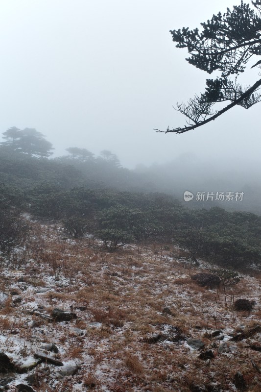 大理苍山洗马潭景区