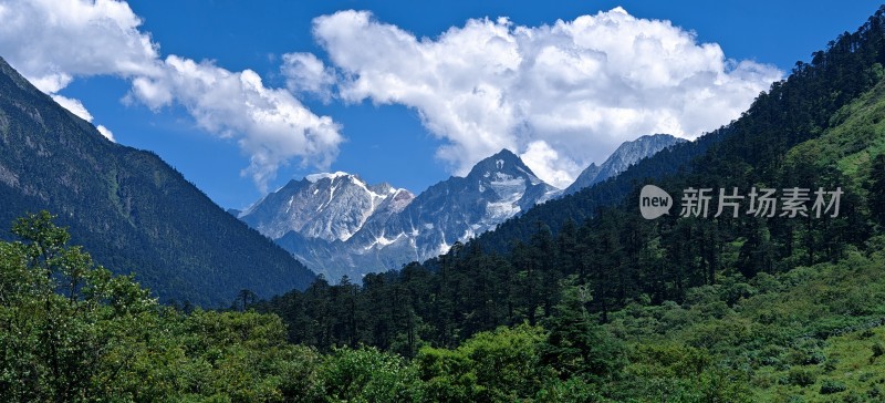 蓝天白云下的雪山与山林景观