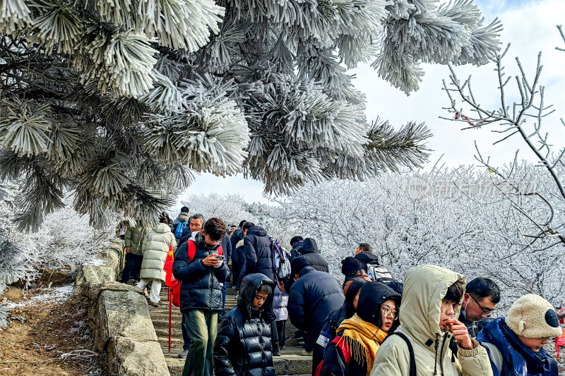 大年初五，泰山之巅迎来蛇年雾凇奇观