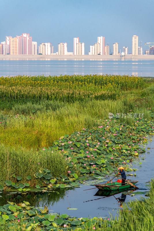 中国邹城孟子湖湖泊湿地渔船自然景观