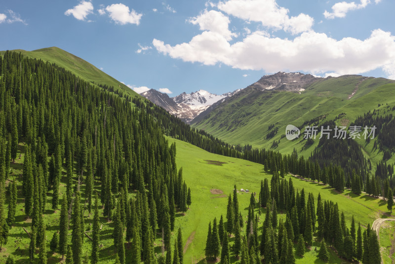 中国新疆伊犁那拉提草原自然风景