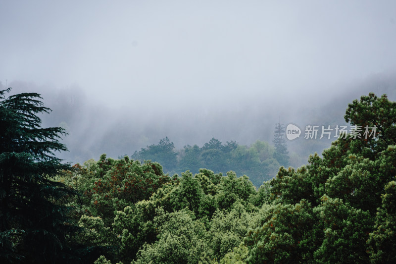 长沙岳麓山