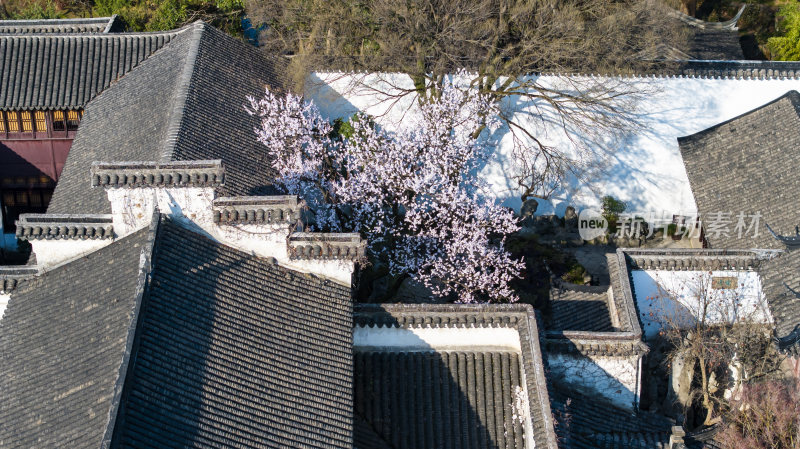 江南园林留园亭台楼阁航拍