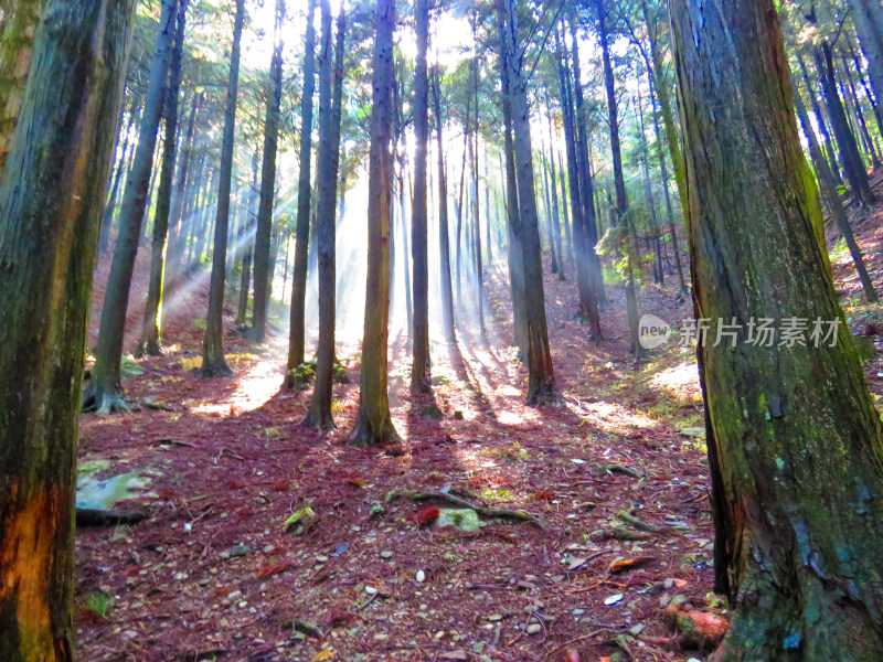 中国江西九江庐山旅游风光