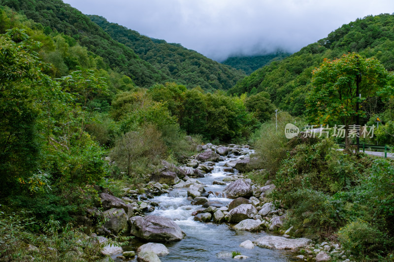 汉中留坝火烧店镇秦岭深处的山中小溪