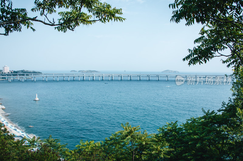 辽宁大连绿意盎然的跨海大桥海滨风光