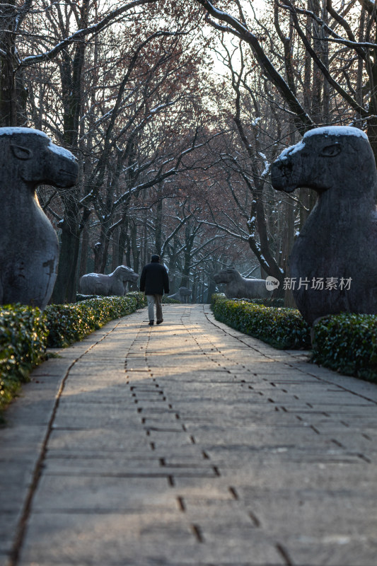 南京明孝陵石象路神道雪景