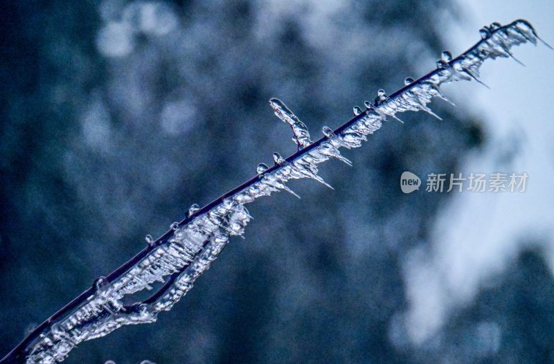 重庆酉阳：一场冰冻游客“醉”