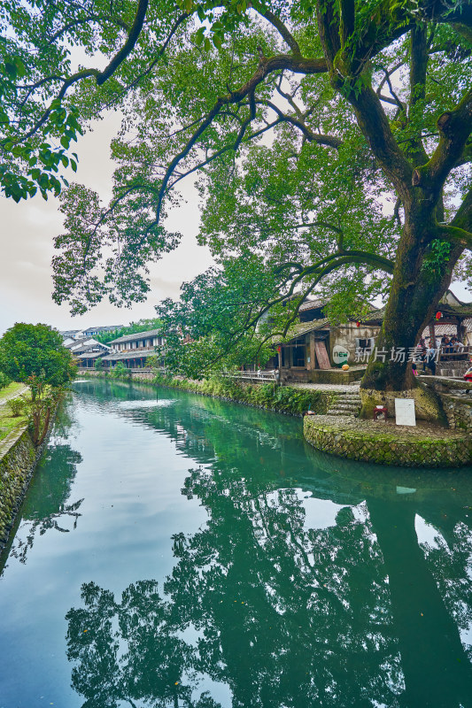 浙江台州丽水街