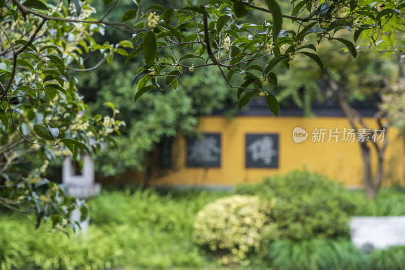 杭州三台山慧因高丽寺风景