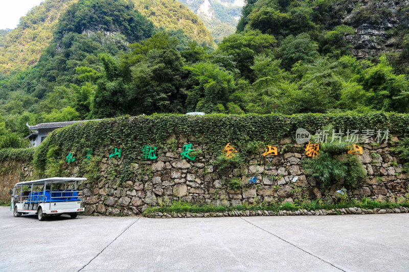 湖北宜昌三峡竹海风景区，自然风光，竹海