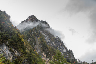 秋天树林云雾山峰