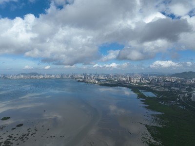 福田红树林生态公园