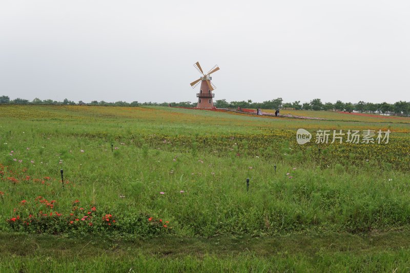 花草 微距摄影 城市风光