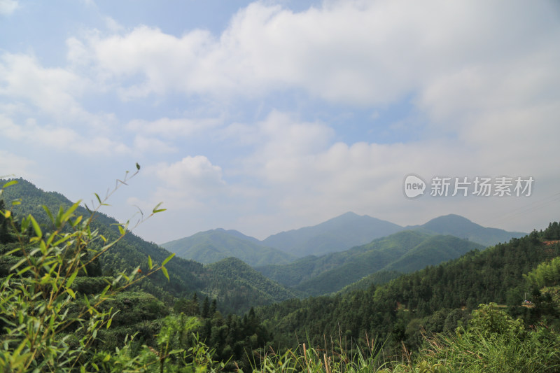 山 山峰 山峦 蓝天 森林