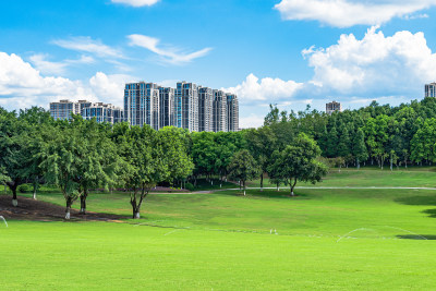 重庆中央公园绿色大草坪与周围的住宅建筑