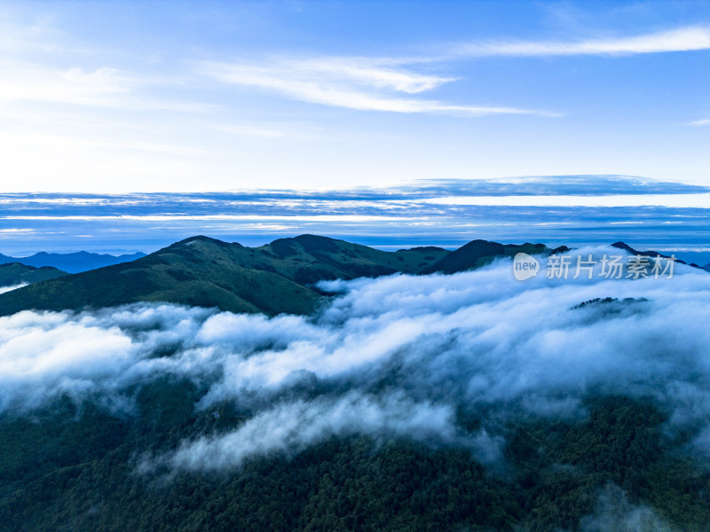 湖北神农架高山云海自然风光航拍摄影图