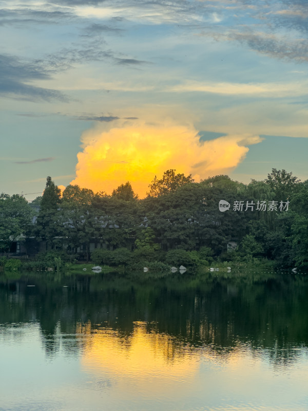 夕阳西下的天空衬托下树木的轮廓