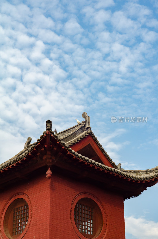 中国洛阳白马寺古建筑屋檐上的鸽子