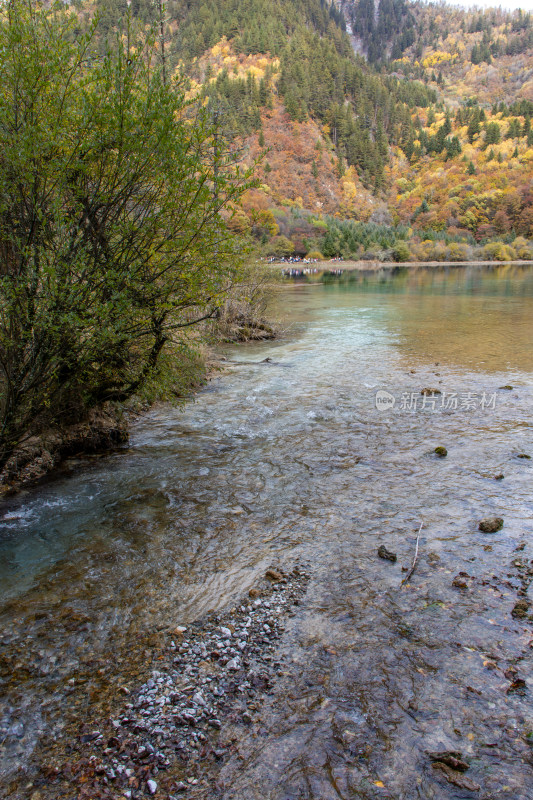 九寨沟秋色湖畔溪流