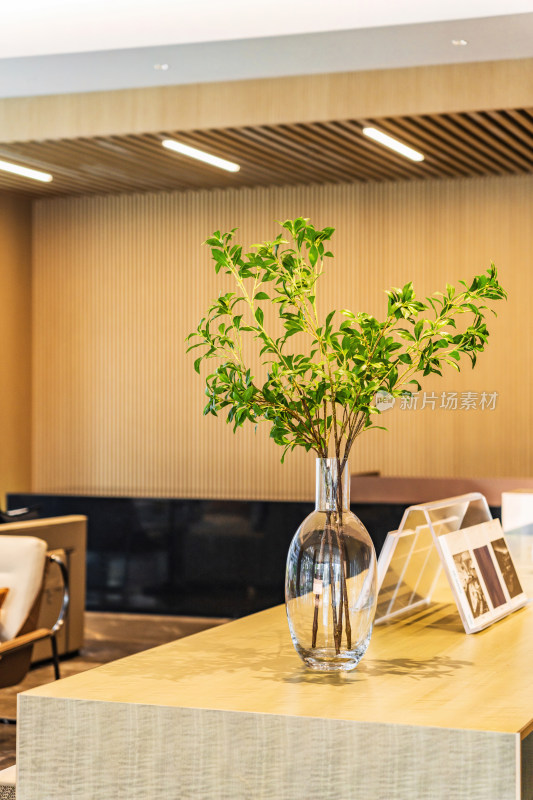 现代风格客厅木制家具 上的绿植
