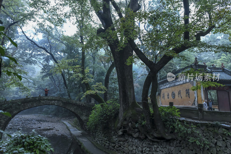 天台山千年古刹国清寺风景