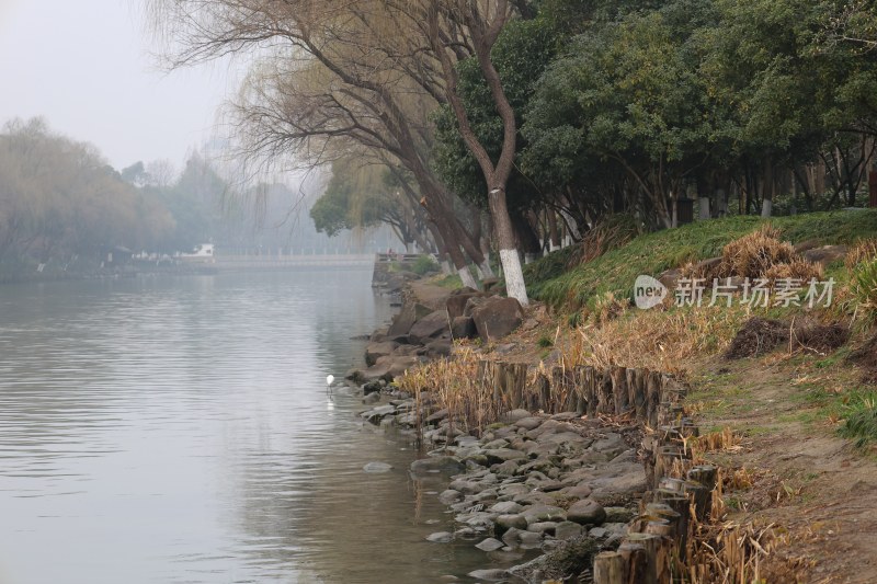 河边柳岸自然风光