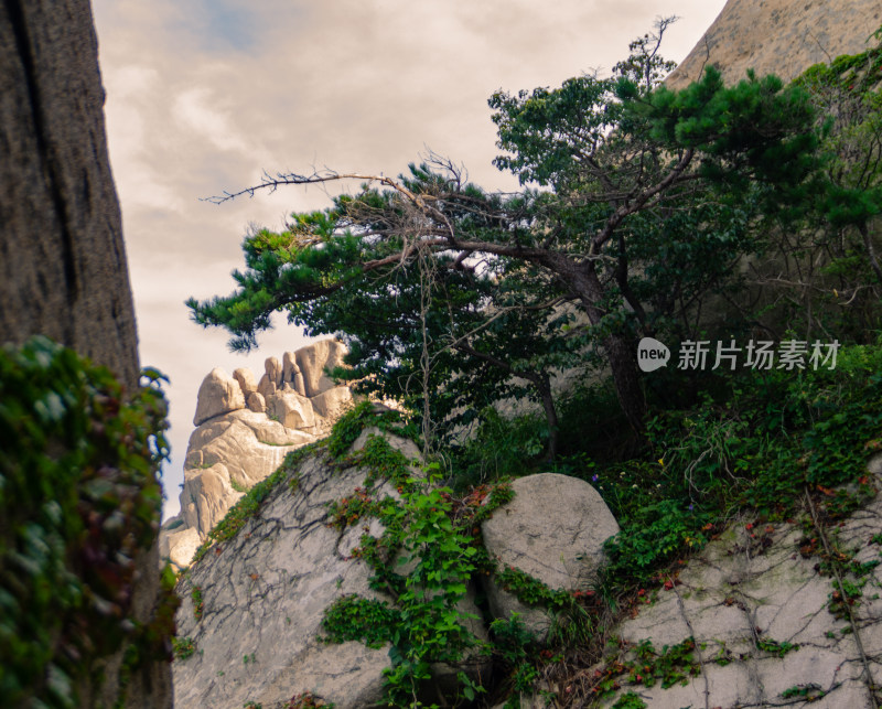 青岛崂山仰口风景