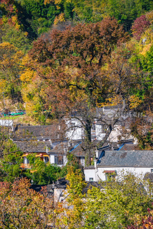 皖南秋色塔川国家森林公园