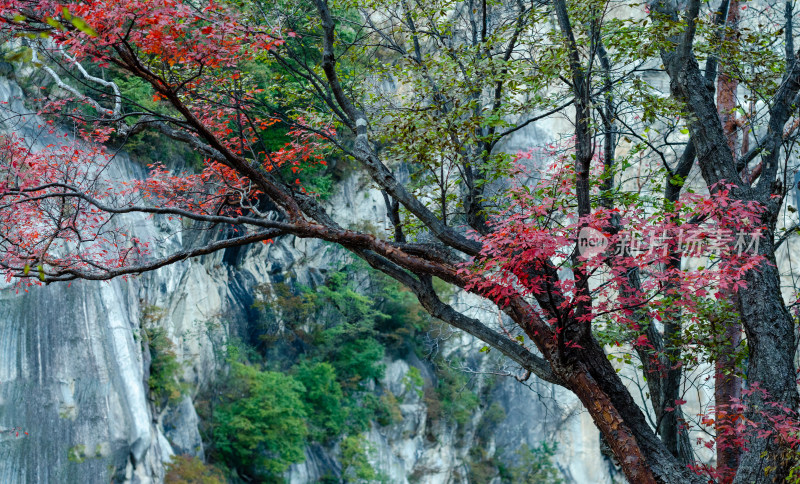 河南省洛阳白云山九龙潭秋天风景